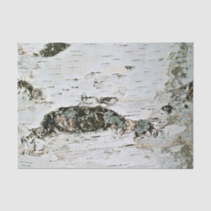 Nature Tissue Paper Birch Wood