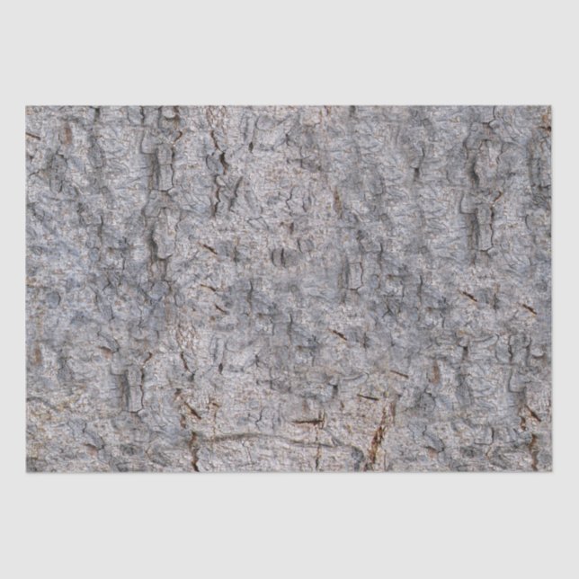 Nature Tree Bark Photo Tissue Paper (Front)