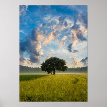 Nature Tree Green Grass Wild Blue Sky Summer Poster by FarAwayPlacesPosters at Zazzle