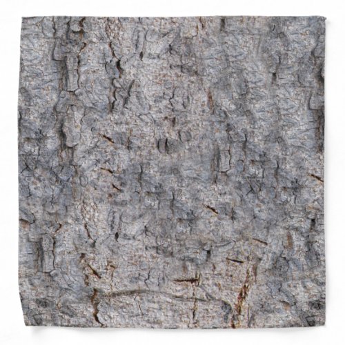 Nature Tropical Tree Bark Photo Bandana