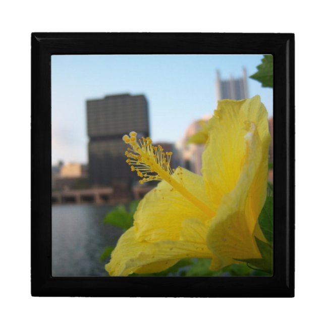 Nature trumps city gift box (Front)