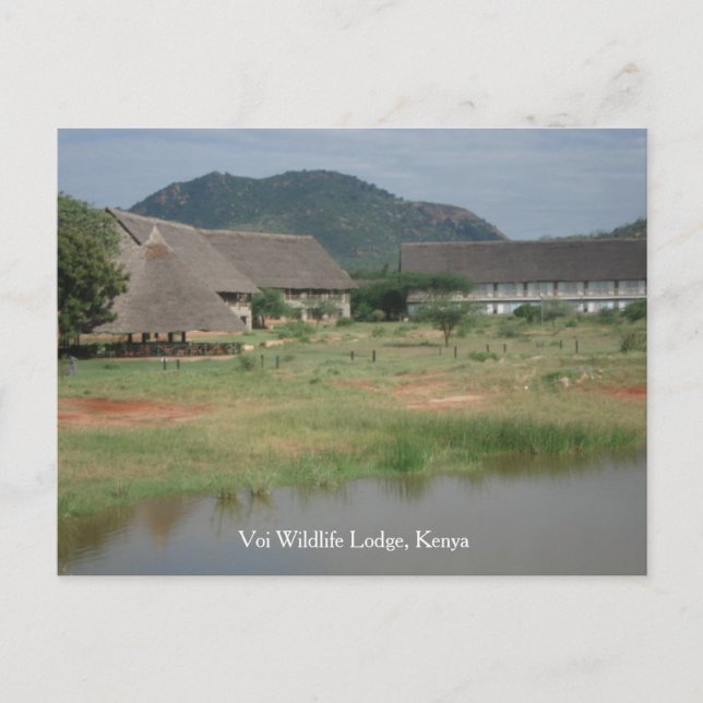 Nature view postcard (Front)