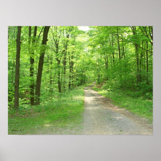 Nature Walk Poster | Zazzle.com