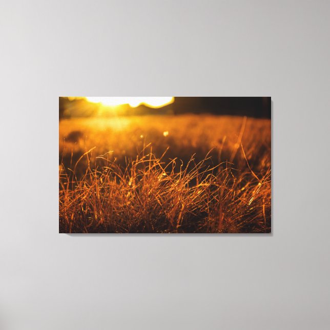 Nature Wall Art (Front)