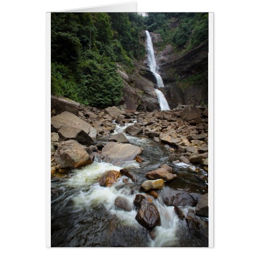 Nature waterfall and river cards (Front)