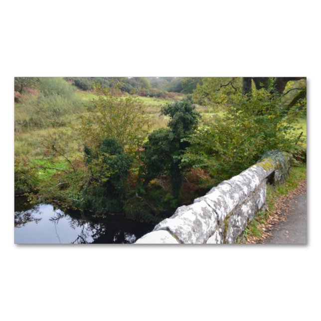 nature way of impersonating animals business card magnet (Front)