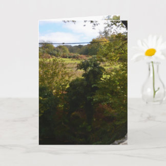 nature way of impersonating animals card