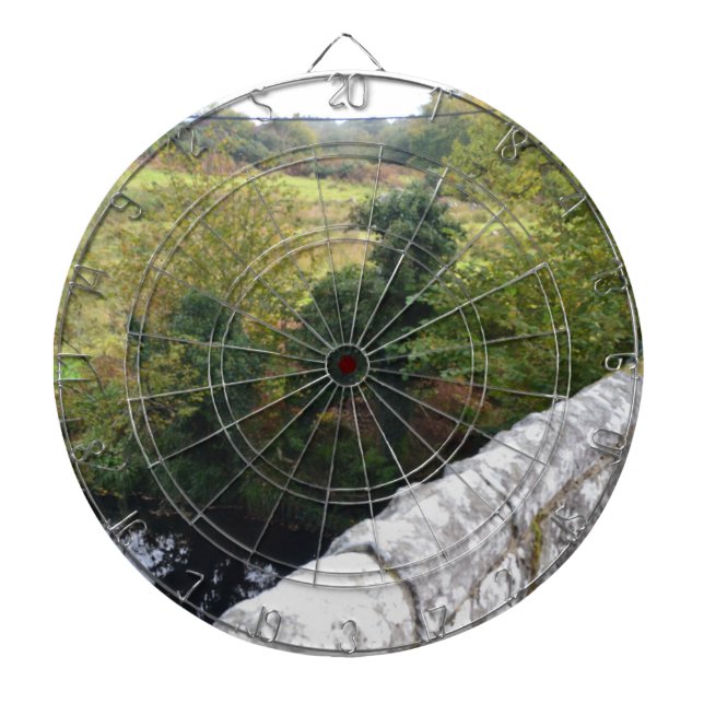 nature way of impersonating animals dart board (Front)