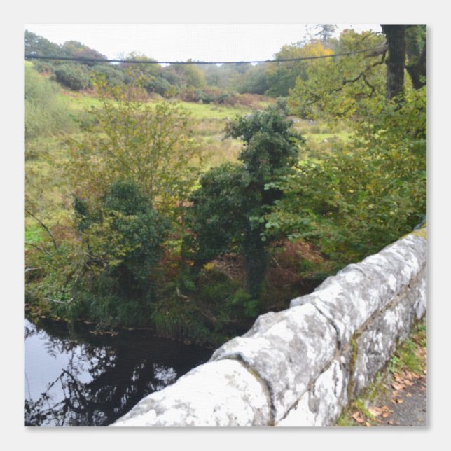 nature way of impersonating animals wallpaper  (Front)