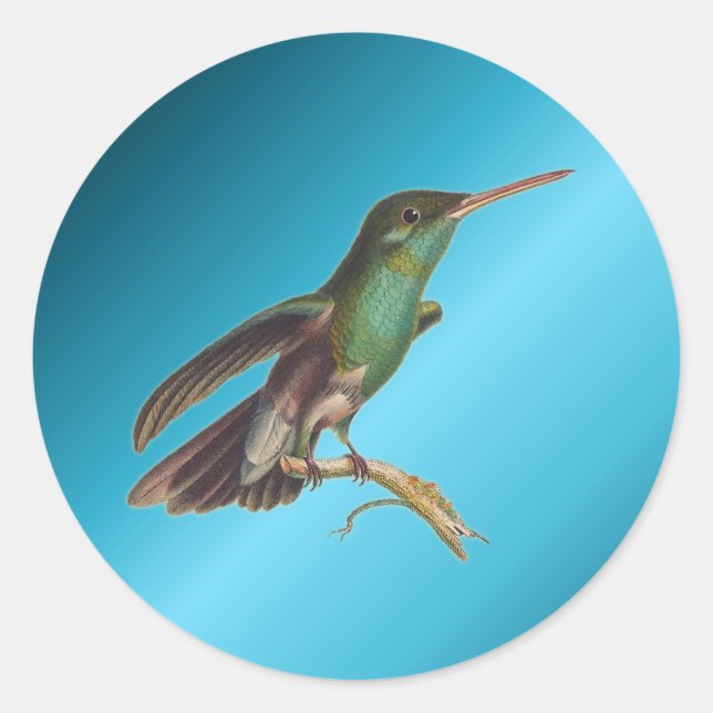 Nature Wild Birds Hummingbird  Classic Round Sticker (Front)