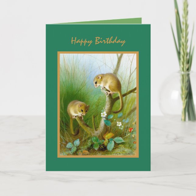 Nature Wild Life Cute Animals Happy Birthday Card (Front)