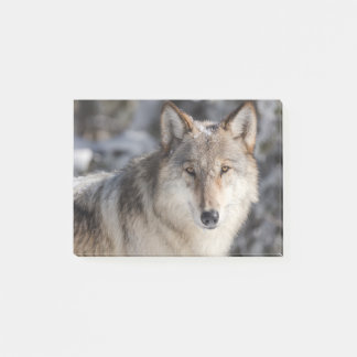 Nature & Wolf Design Post-it Notes