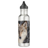 Mens Teen Boys Wolf Galaxy Star Forest Silhouette Stainless Steel Water  Bottle | Zazzle