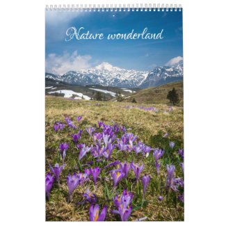 Nature wonderland v2 landscape photo calendar