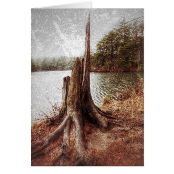 Nature's Art by DesireeGriffiths at Zazzle