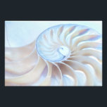 Nature's Art 2 Photo Print<br><div class="desc">This beautiful Nautilus photograph is sure to add beauty and a sense of wonder to any room!</div>