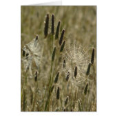 Nature's Artists (Front)