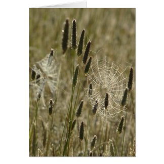 Nature's Artists Cards