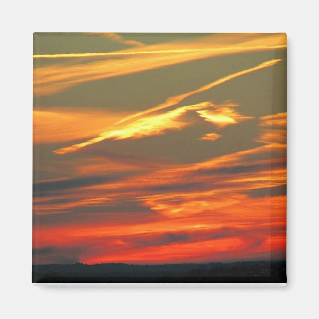 Nature's Artwork Magnet (Front)