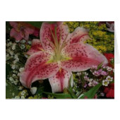 Nature's Beauty (Front Horizontal)