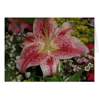 Nature's Beauty Cards