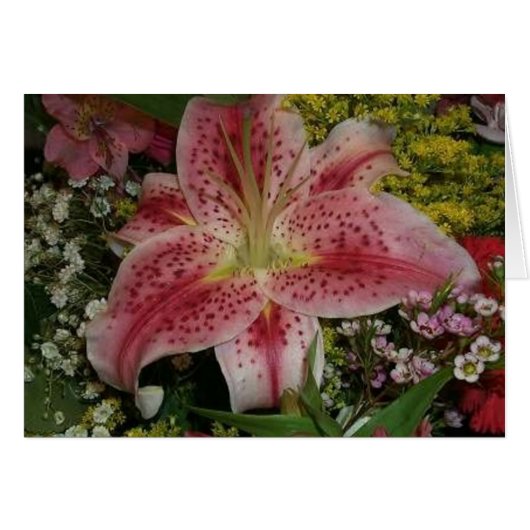 Nature's Beauty Cards (Front Horizontal)