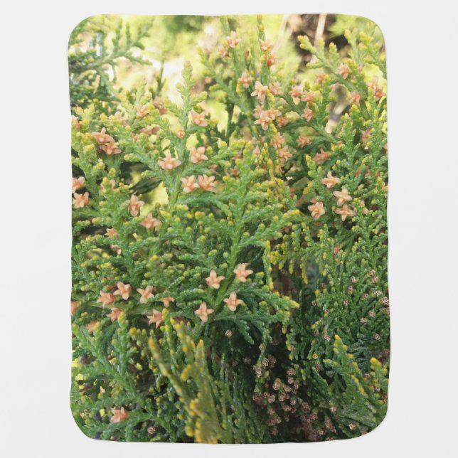 Nature's Beauty: Juniper Tree Baby Blanket (Front)