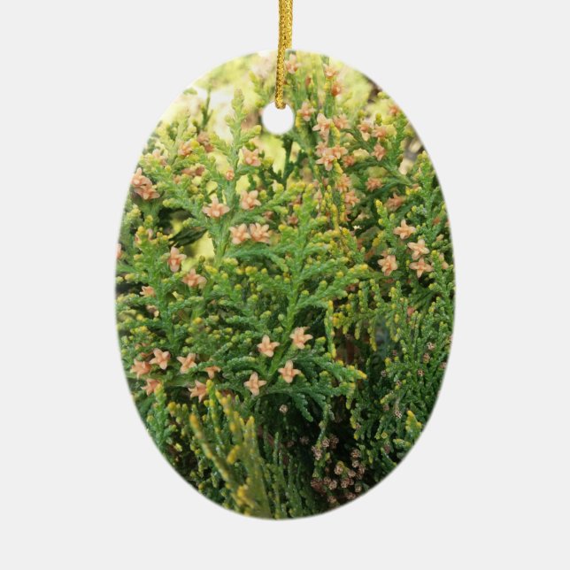Nature's Beauty: Juniper Tree Ceramic Ornament (Front)