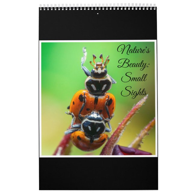Nature's beauty: Small Sights Calendar (Cover)