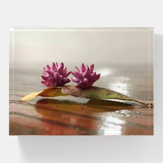 Nature's Beauty Wasp Nursery Paperweight