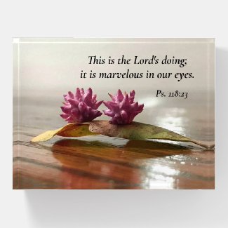 Nature's Beauty Wasp Nursery Psalm Paperweight