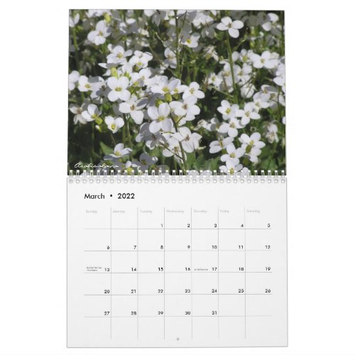 Natures Blank Canvass dreamflower 2022 calendar