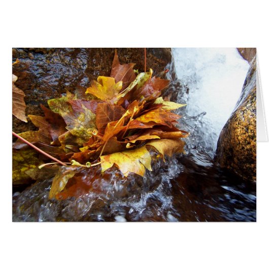 Nature's Bouquet Cards (Front Horizontal)