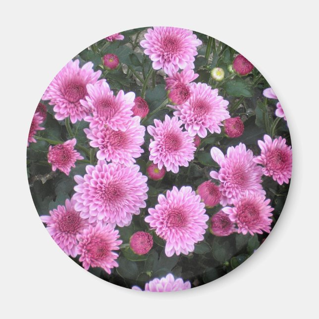 Nature's Bouquet: Spring Magnet (Front)