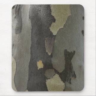 Nature's Camouflage -Sycamore Bark mousepad