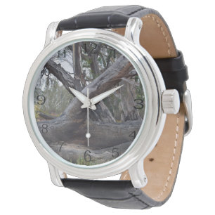 Natures Challenge: Australian Gum Tree Logs, Watch