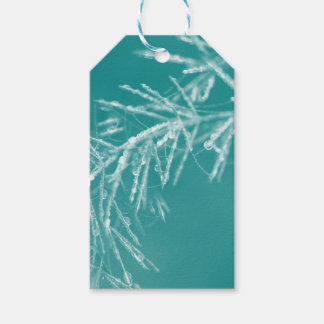 Natures Christmas Decorations Gift Tags