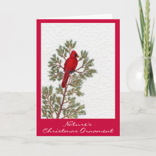 Nature's, Christmas Ornament Holiday Card