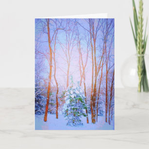 Nature's Christmas Tree Card