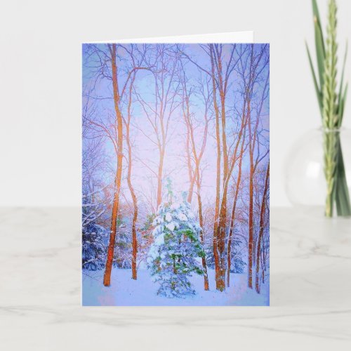 Natures Christmas Tree Card