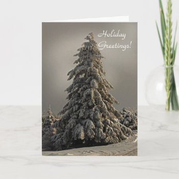 Nature's Christmas Tree - Greeting Card by LoisBryan at Zazzle