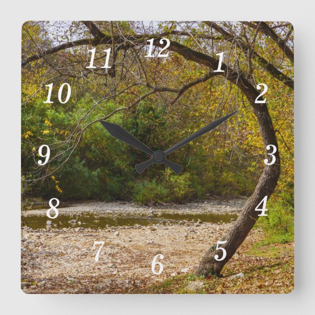 Natures Circle Wall Clock (Front)