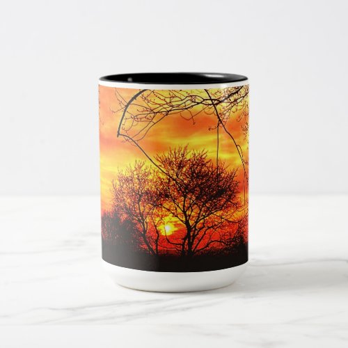 NATURES CONCERT OF COLOR  Two_Tone COFFEE MUG