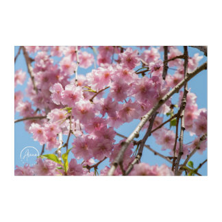 Nature's delicate artistry Acrylic Wall Art