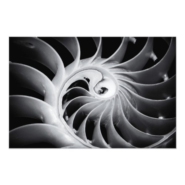 Nature's Design Photo Print (Front)