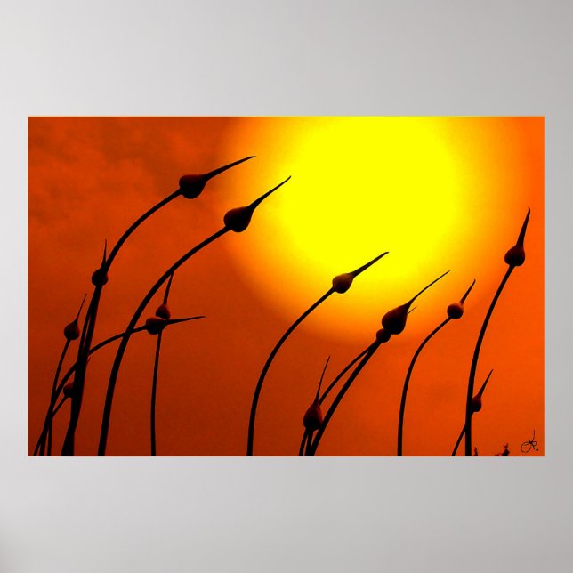 Nature's Design Poster (Front)