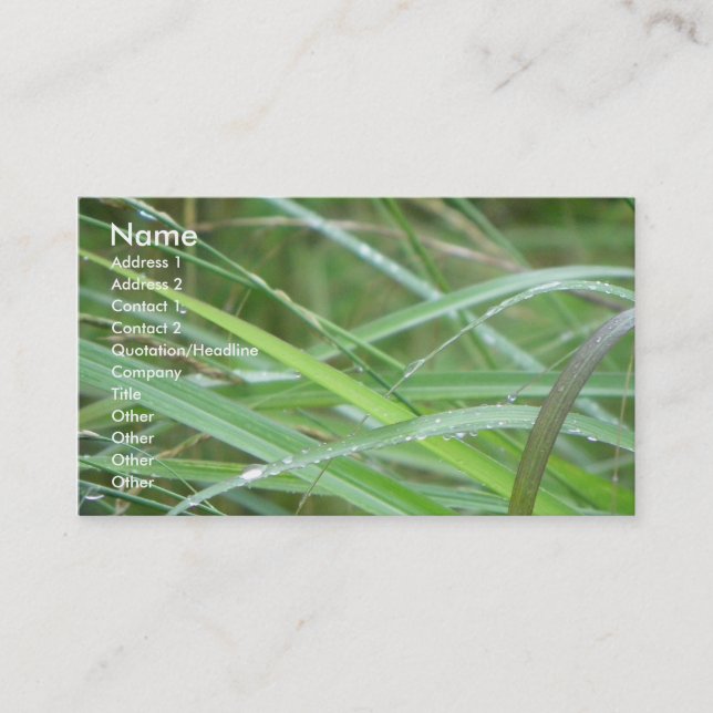 Nature's Episode/ Business Card (Front)
