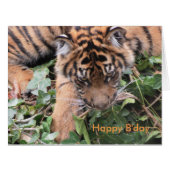 Natures Expressions (Front Horizontal)