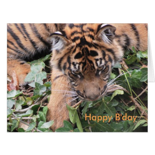 Natures Expressions (Front Horizontal)