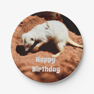 Nature's Forager: White Meerkat Digging for Bugs Paper Plates